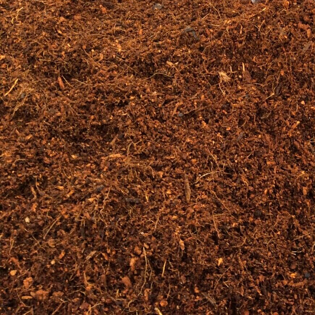 Buffered Coco Peat – 2 Litre