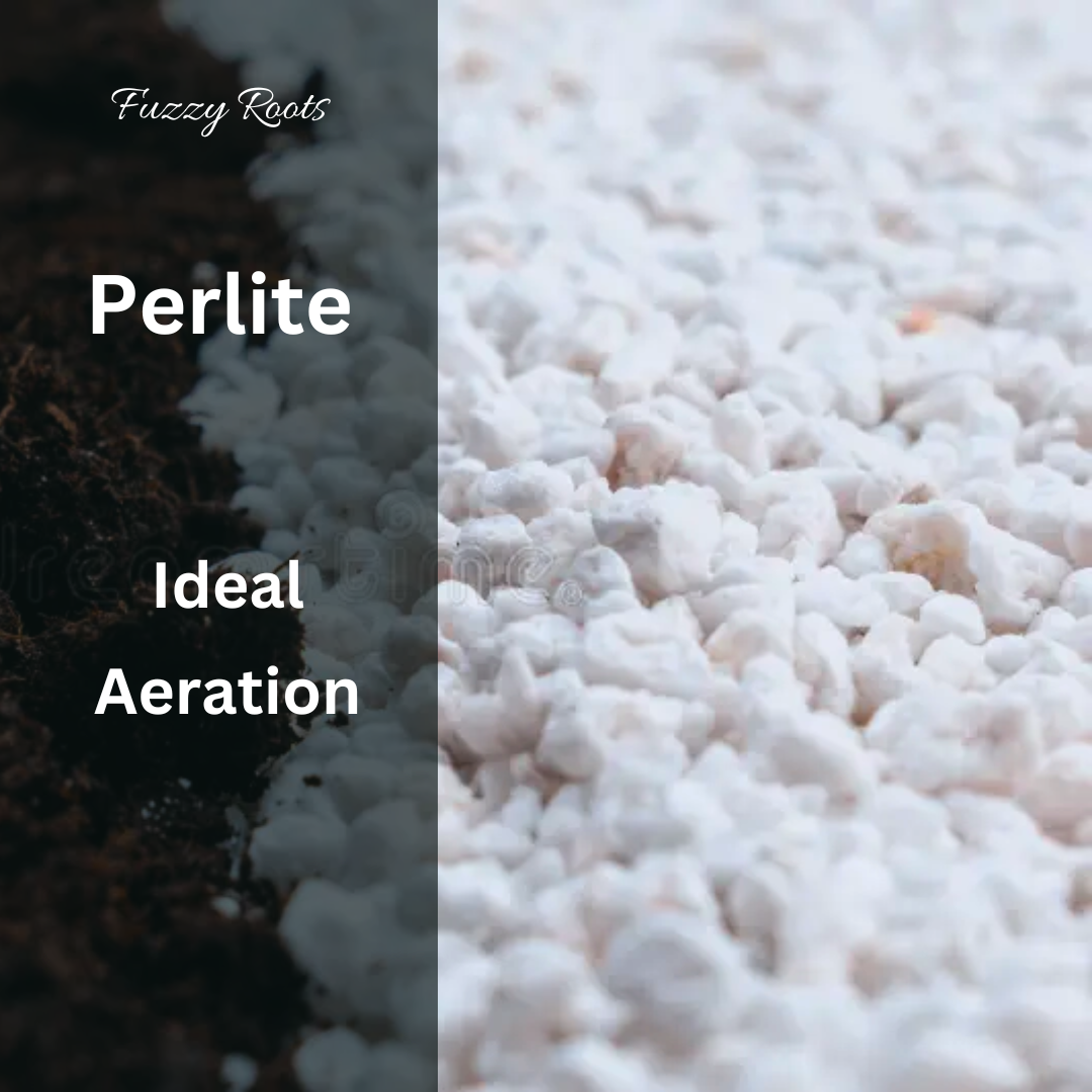 Perlite β 2 Litre