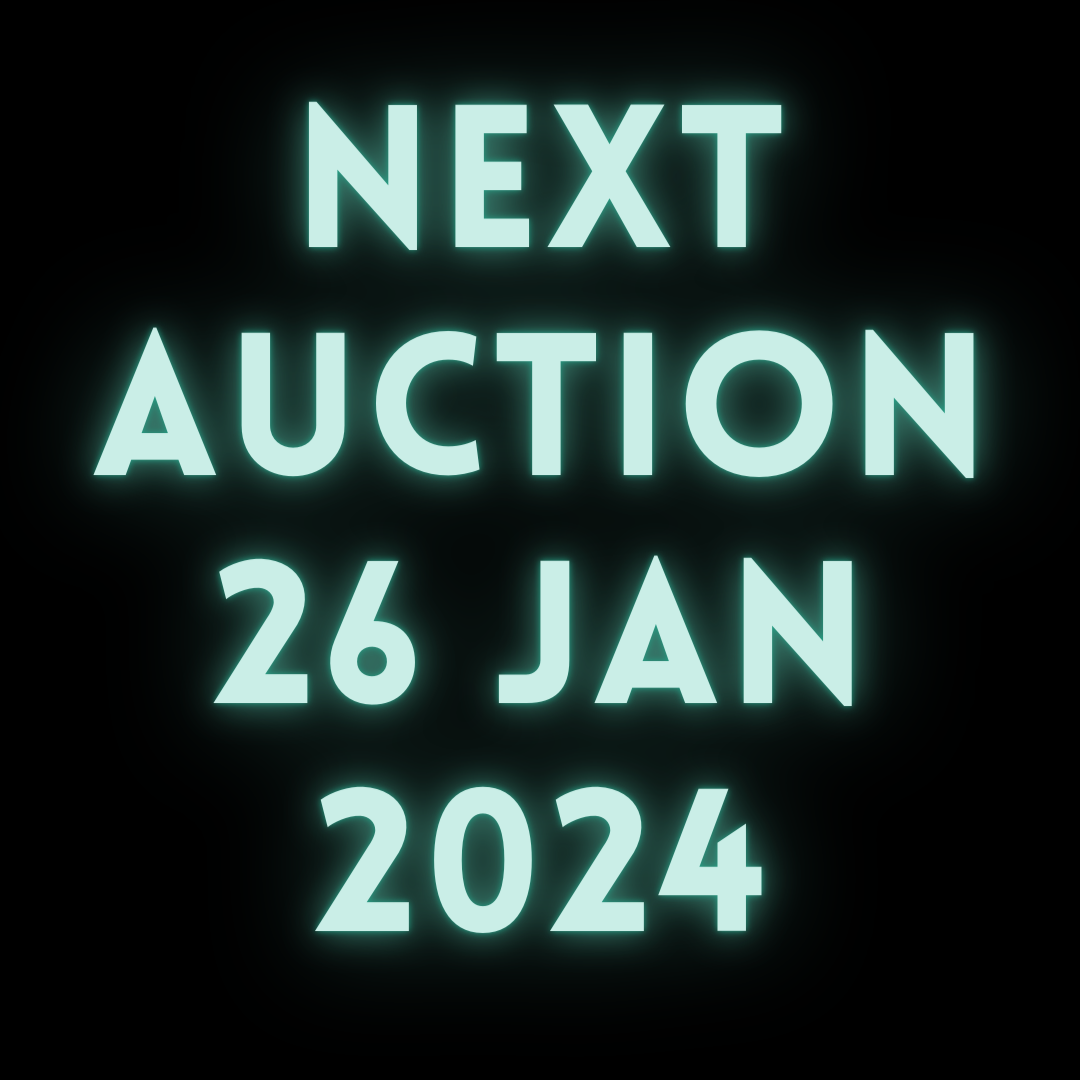 Auction - Coming Soon