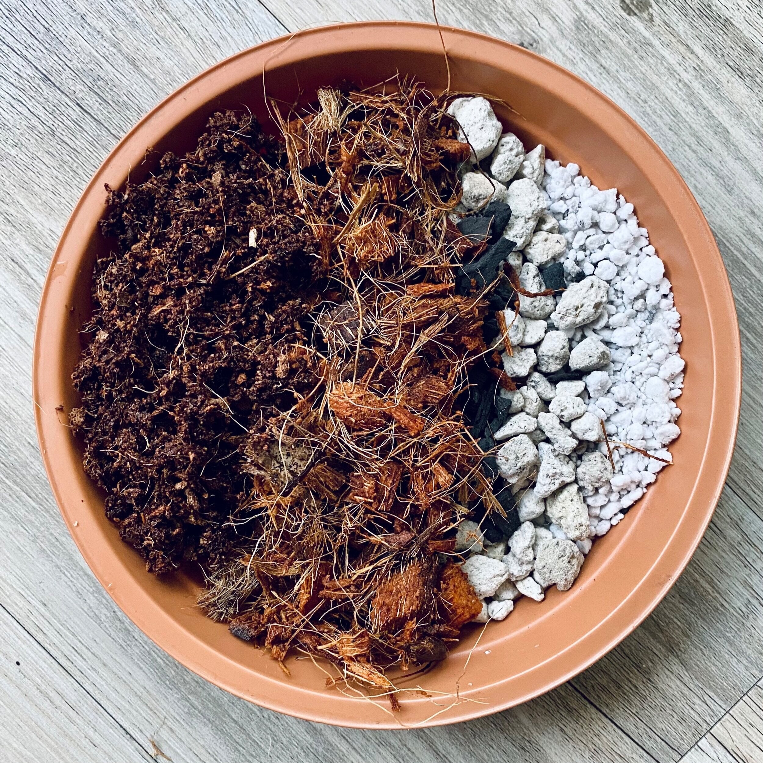 Potting – Fuzzy Roots