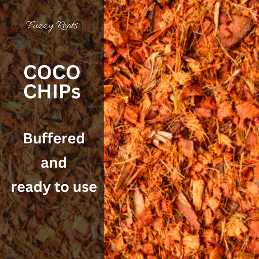 Buffered Coco Chips – 2 Litre