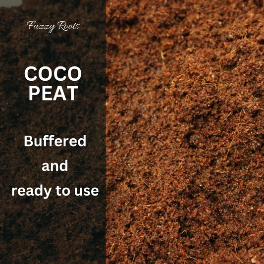 Buffered Coco Peat Moss – 2 Litre