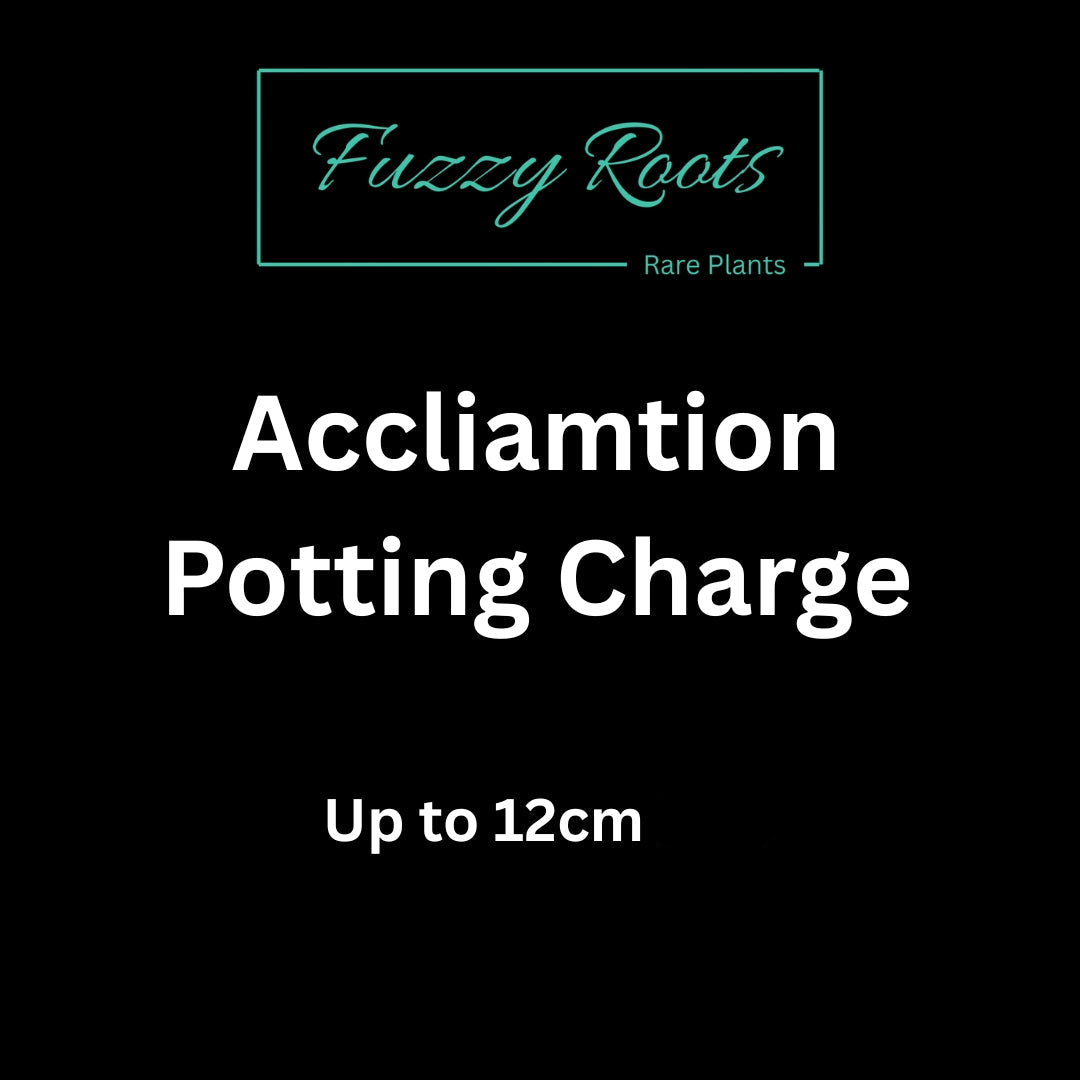 Potting Charge (Up to 12cm)