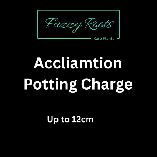 Potting Charge (Up to 12cm)