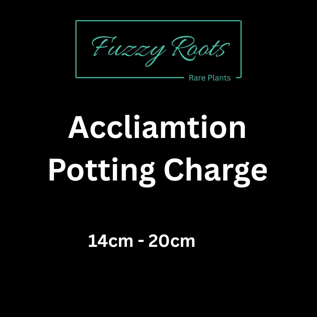 Potting Charge (14cm - 20cm)