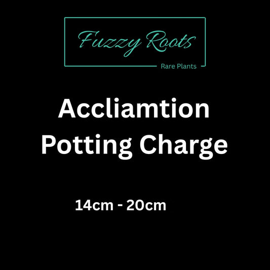 Potting Charge (14cm - 20cm)