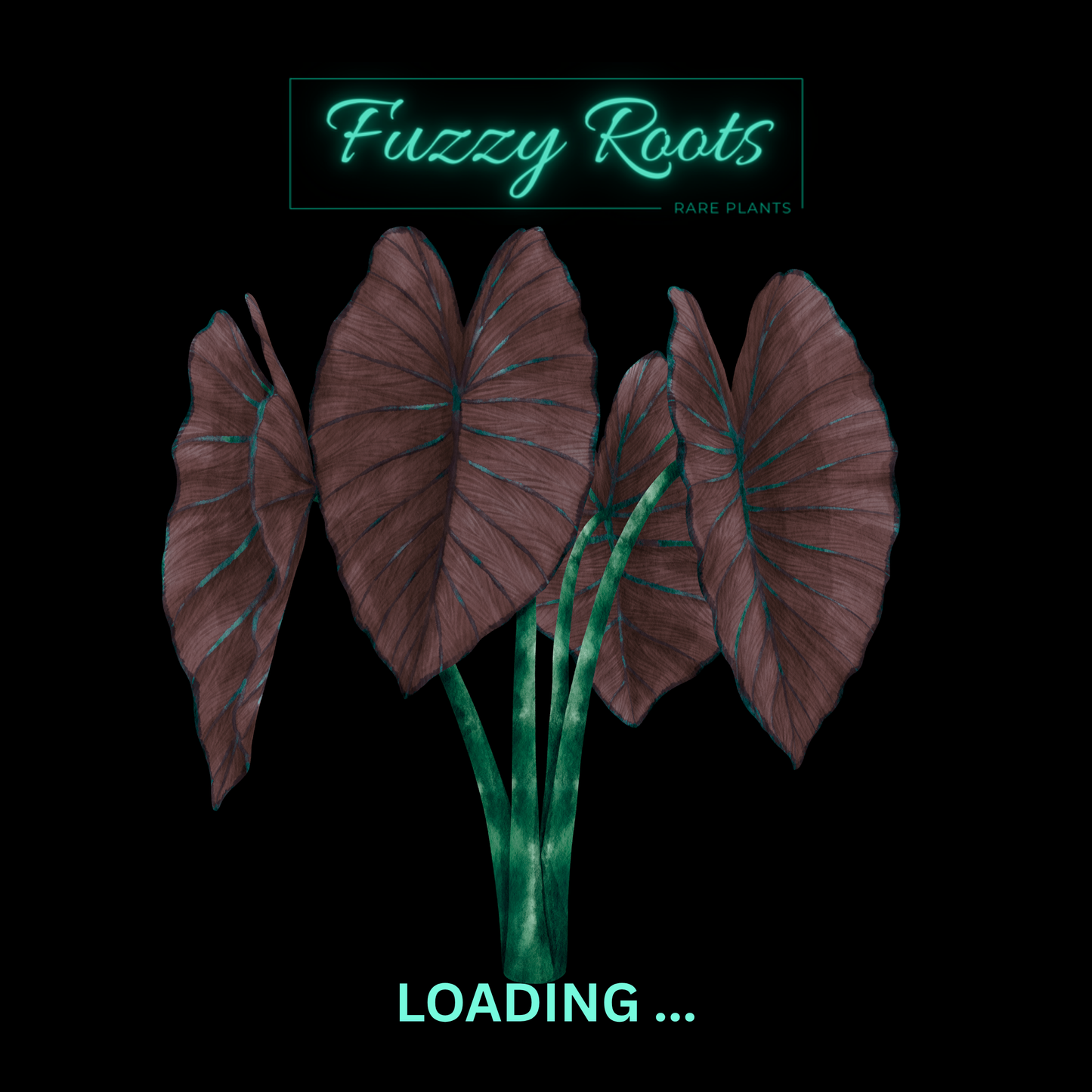 Colocasia Esculenta “Mojito Tissue Culture (PRE-ORDER)-TC160