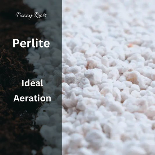 Perlite – 2 Litre