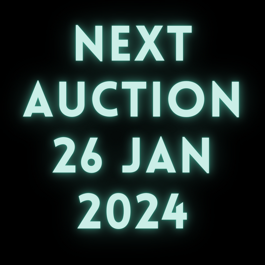 Auction - Coming Soon